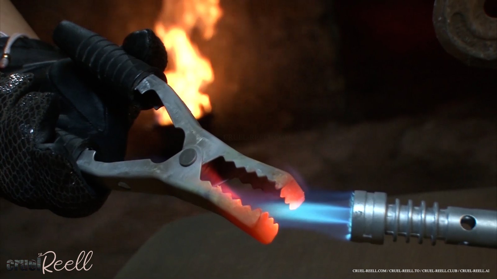 LEBEN IM (ALB-)TRAUM thumbnail